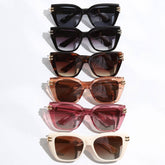 Transparent and Colored Frame Sunglasses: 12 ASSORTED COLOR / ONE SIZE